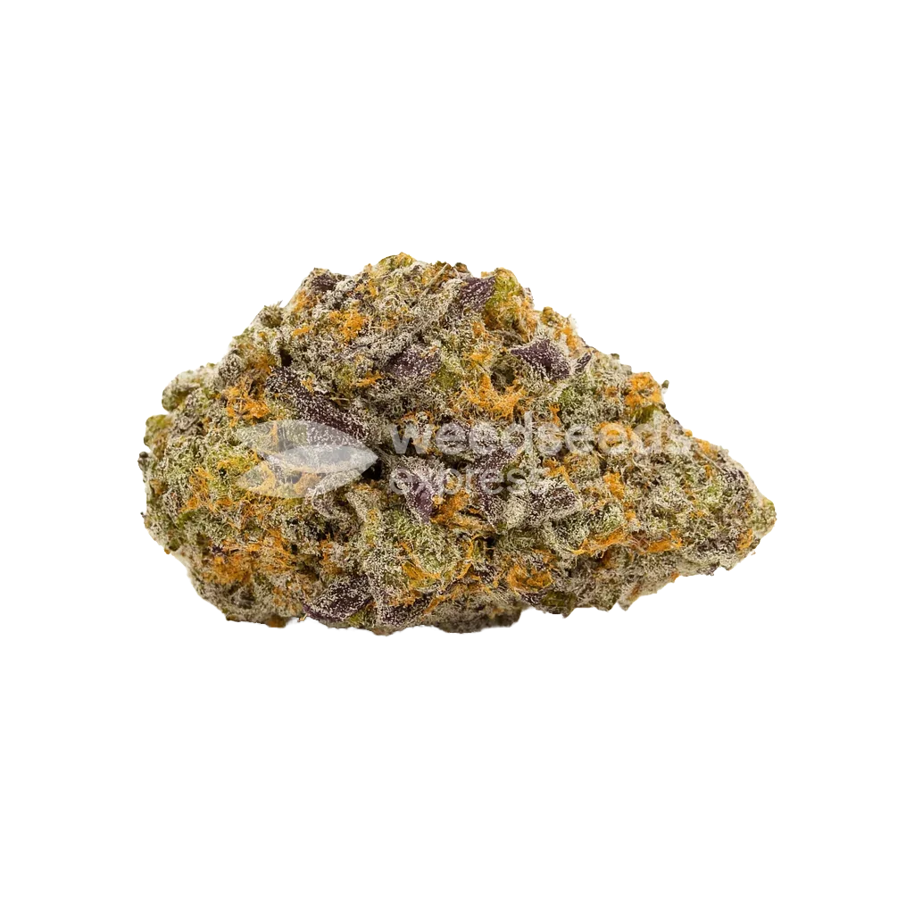 Bud de Purple Gelato Auto