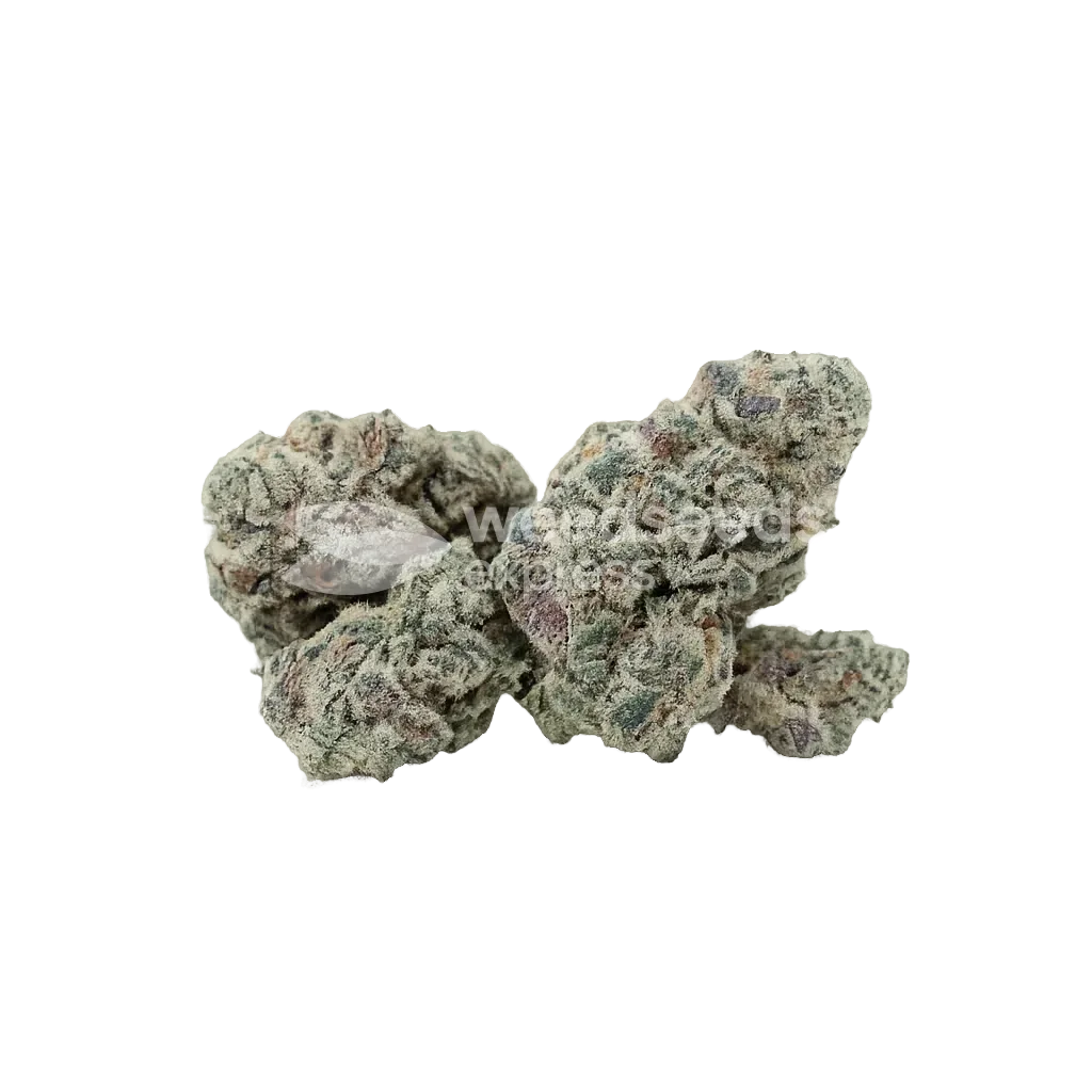 Bud de Purple Haze Auto