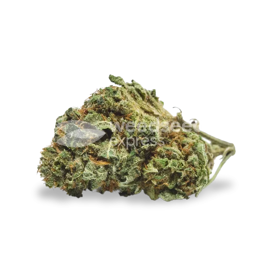 Runtz bud
