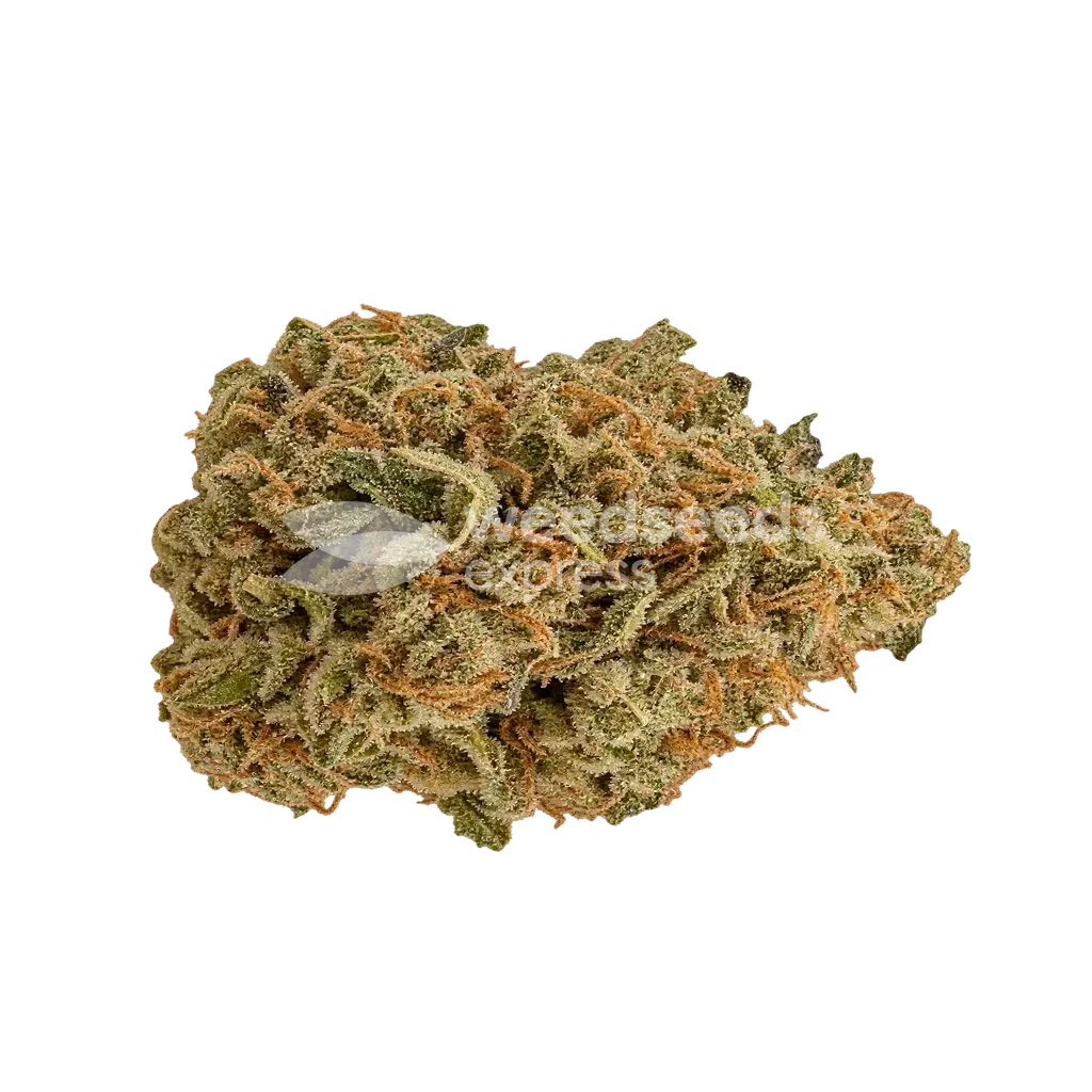 Sour Kush Bud