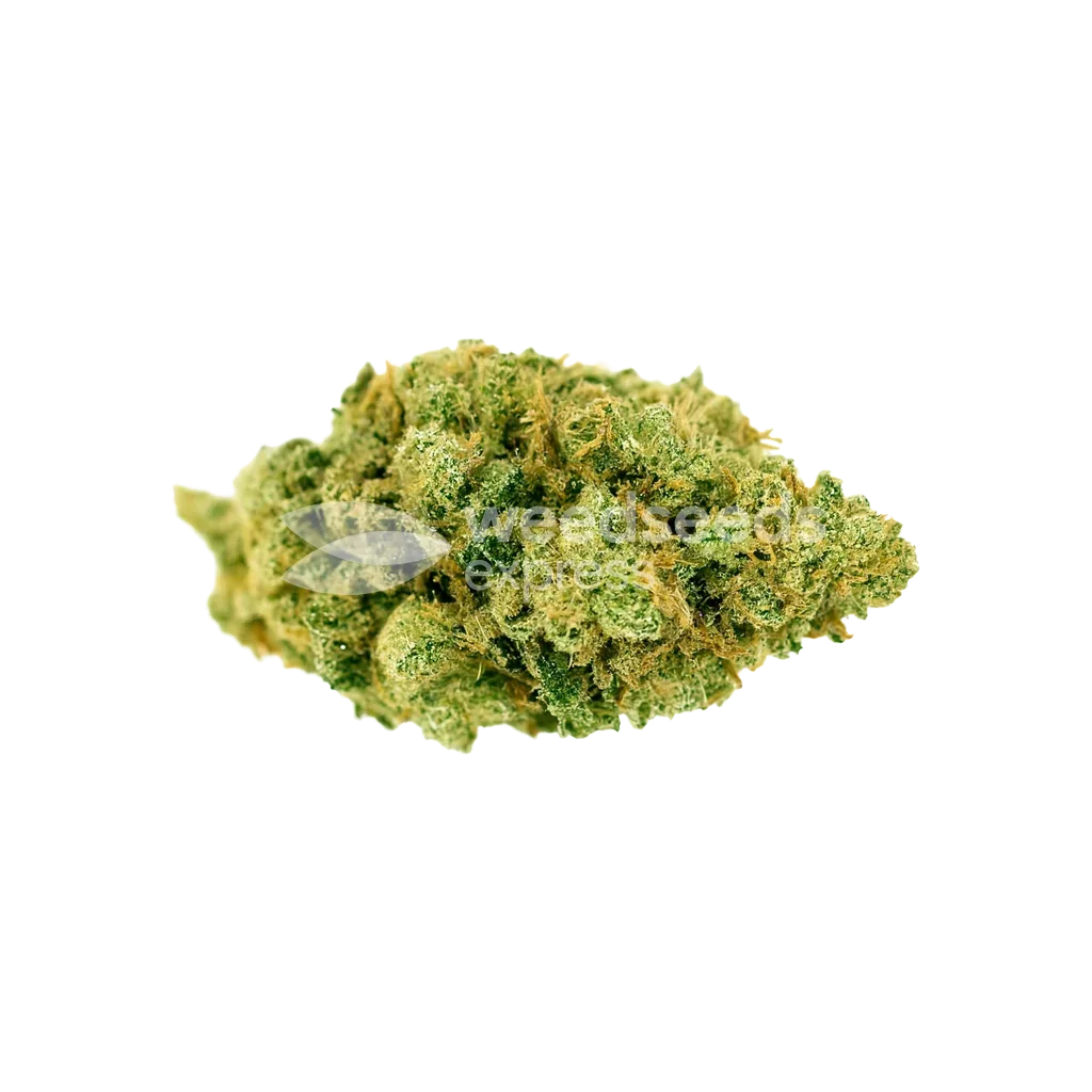 Bud de Strawberry Banana Auto