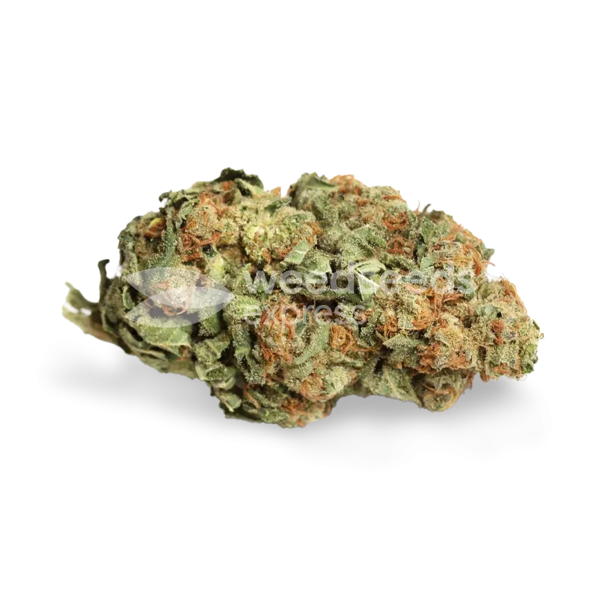 Strawberry CBD bud