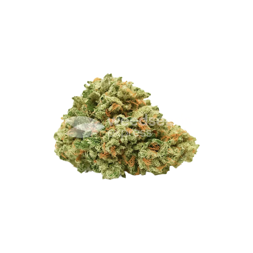 Bud de Strawberry Cough Auto