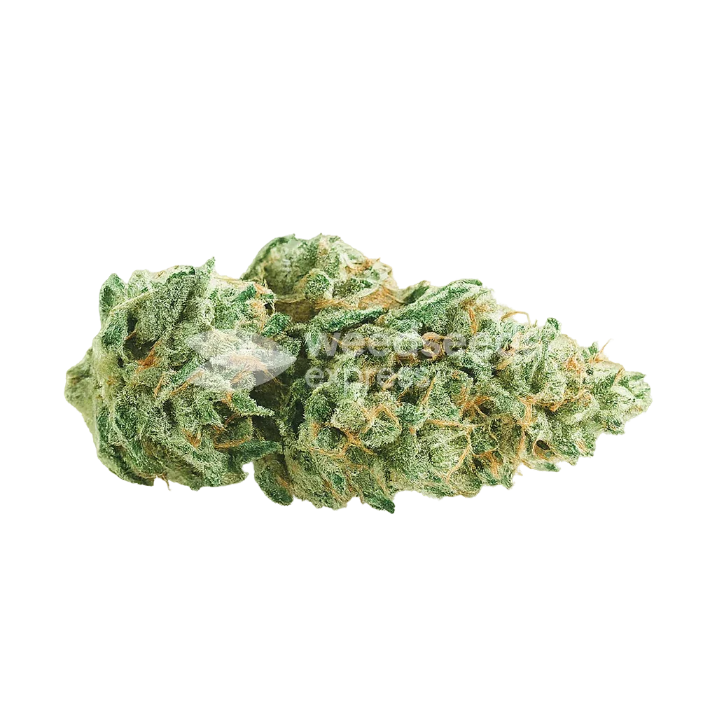 Bud de Super Skunk Auto
