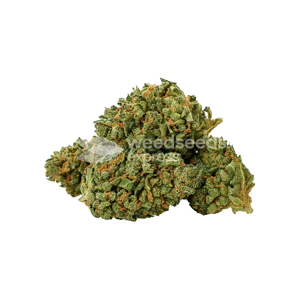 Bud de Wedding Cake Auto