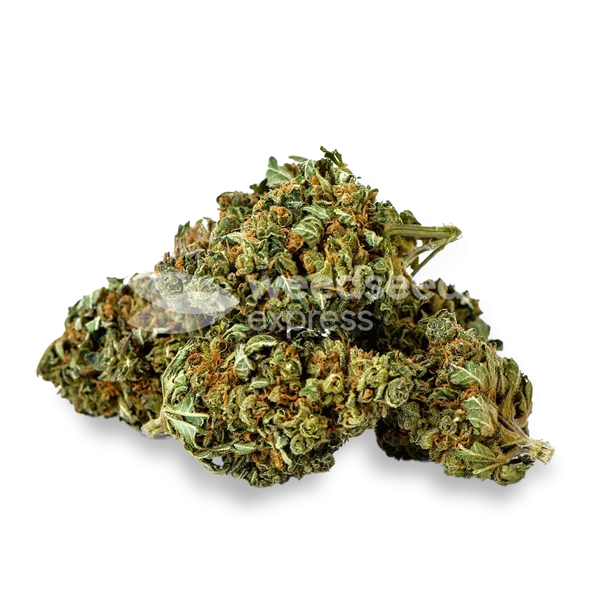 Wedding Cake bud