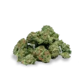 thumb of ACDC bud