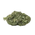 thumb of American Patriot Bud