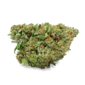 thumb of Amnesia Bud