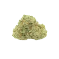 thumb of Bud de Amnesia Haze Auto