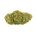 thumb of Bud de Big Bud Auto