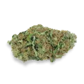 thumb of Big Bud bud