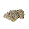 thumb of Black Cherry Soda Bud
