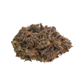 thumb of Black Hulk Bud