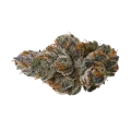thumb of Bud de Black Runtz Auto
