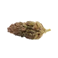 thumb of Bud de Blackberry Kush Auto