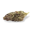 thumb of Blackberry Kush bud