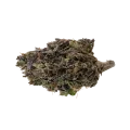 thumb of Blue Zushi Bud