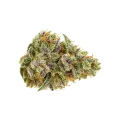thumb of Bud de Bubblegum Sherbet Auto
