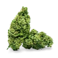 thumb of Cannatonic Bud