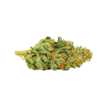 thumb of Bud de CBD Express Auto