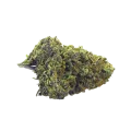 thumb of CBD Mango Bud