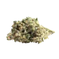 thumb of Cereal Milk Bud