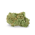 thumb of Charlottes Web Bud