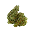 thumb of Bud de Chocolope Auto