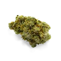 thumb of Critical Jack bud