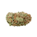 thumb of Bud de G13 Auto