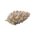 thumb of Tête de cannabis Glitter Bomb