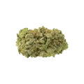 thumb of Bud de GMO Cookies Auto