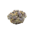 thumb of Bud de Granddaddy Purple Auto