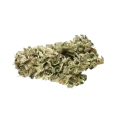 thumb of Green Poison Bud