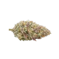thumb of Tête de cannabis Gumbo
