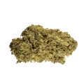 thumb of Hash Plant Bud