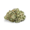thumb of Hindu Kush bud