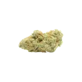 thumb of Bud de Jack Widow Auto