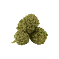 thumb of Bud de Khalifa Kush Auto