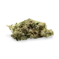 thumb of Kosher Kush bud