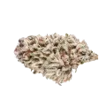thumb of LA Confidential Bud