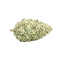 thumb of Tête de cannabis Lamb's Bread Autoflower