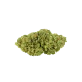 thumb of Bud de Magnum Auto