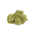 thumb of Bud de Maui Waui Auto