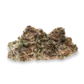 thumb of Bud de Mimosa