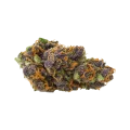 thumb of Bud de Purple Kush Auto