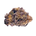 thumb of Purple Lemonade Bud