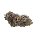 thumb of Bud de Purple Punch Auto
