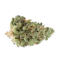 thumb of Rainbow Bud